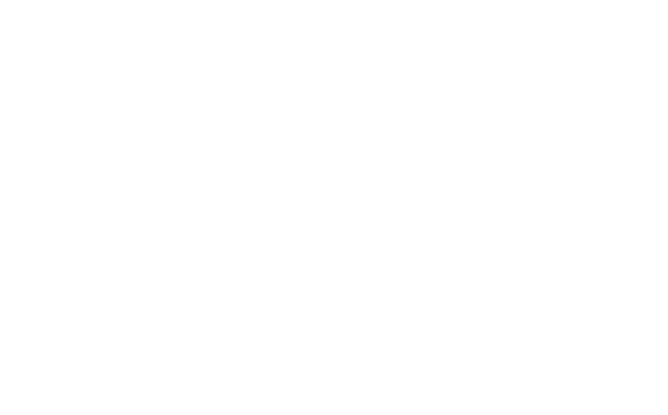 BDO Alliance USA